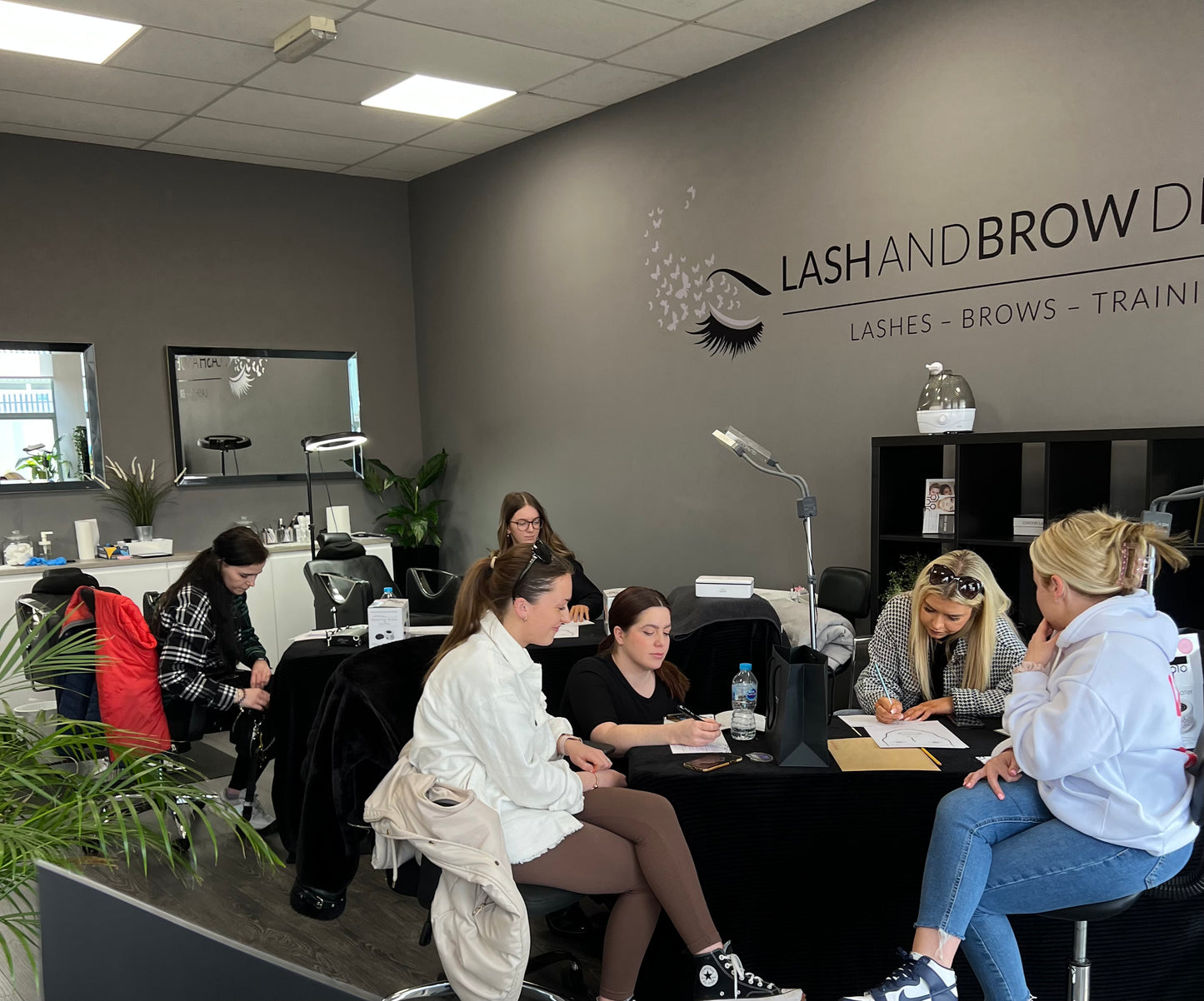 Brow Lamination & Styling Training