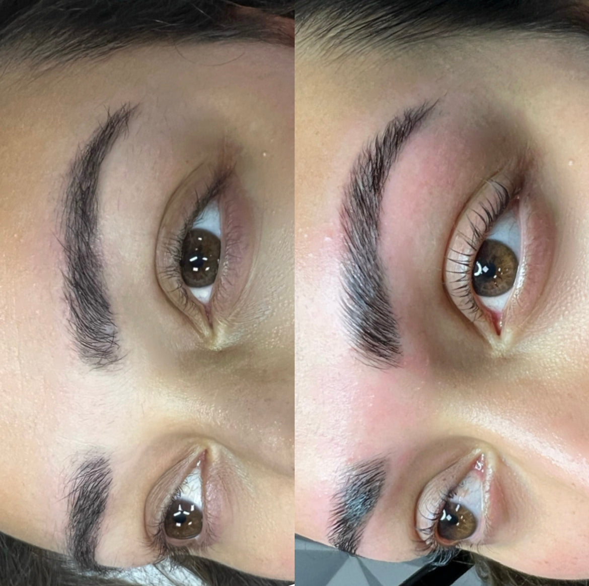 Brow Lamination & Styling Training